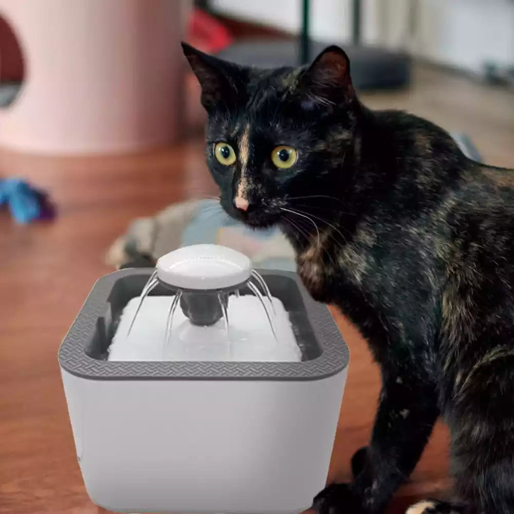 Fuente eléctrica de agua para mascota